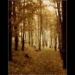 Podzimni imprese....