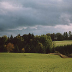 Polní vlny
