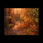 <b>Výlet na Bořeň III.</b>