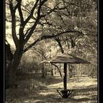meeting point