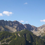 Roháče