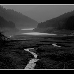 ...vecerni prehrada ...