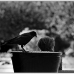 Tak ukáž čo tam máš