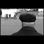 <b>* Puma za čarou *</b>