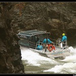 "Chutine Warrior" v akci.