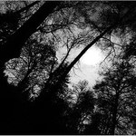 no eclipse by moonday