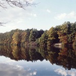 Bohutický rybník