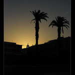 sunrise II.