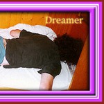 dream