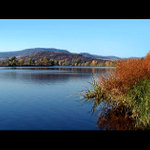 <b>..od labe až po české středohoří..</b>