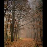 Podzimní nálada na Kokořínsku