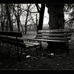 Lavicky a maly svincik...