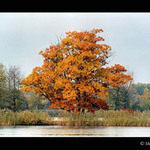 Podzim na Třeboňsku