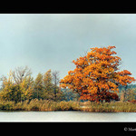 Podzim na Třeboňsku II.