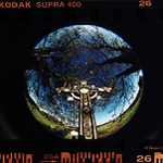 Pod ochranou stromů II.