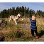 Bajka o Jendovi, vlku a kusu sýra