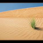 Sama ve vlnkach a krivkach ....