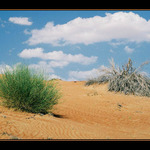 ... taky jednou uschne ... ;)