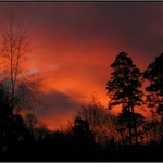 Východ slunce nad lesem