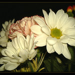 Večerní květinová ...