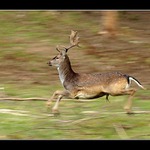 Na plný plyn... :-)