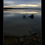 <b>Ticho II.</b><br>