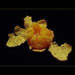 mandarinka po výbuchu