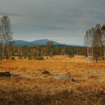 Trudomylsna ,ale krasna sumava-mrtvý luh