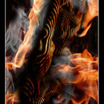 O h n i v á . k v ě t i n a