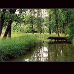 U česko -rakousko- slovenského trojmezí