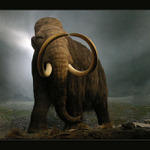 Cesta do pravěku ...