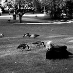 Public Garden 2