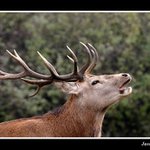 Tak a pro letošek odtroubeno!