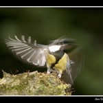 V momentu překvapení