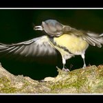 Nefoť mně pořád!