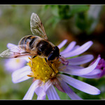 Letošní poslední ...