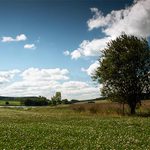 v pravé poledne II.