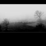 ...[...misty mlha...]....