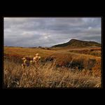 Poezie podzimního dne