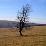 ...jako já, jako já...