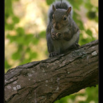 Moc nekoukej, nezbyde