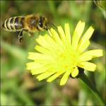 Připoutejte se přistáváme