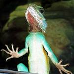 ...pusťte mě ven...