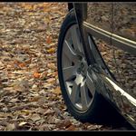 Na podzimním výletě