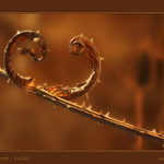 Podzim 2003 - céčko