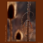 Podzim 2003 - šestka