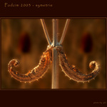 Podzim 2003 - symetrie