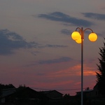 Hodina mezi psem a vlkem