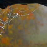 Malé podzimní klenotnictví