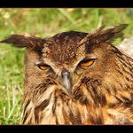 Z očí do očí VII